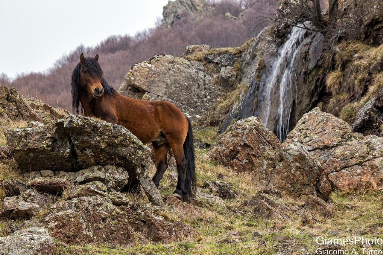 Apartmán Casa Della Posta Borzonasca Exteriér fotografie